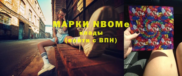 индика Абинск