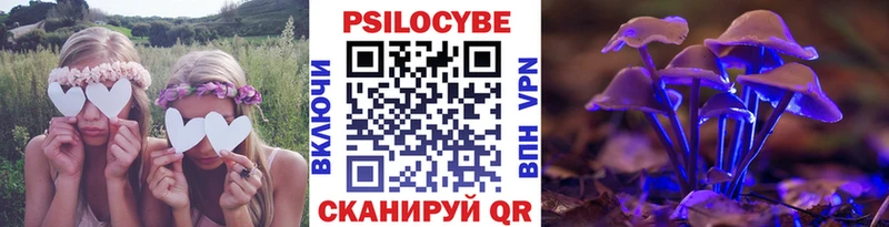 мега как зайти  Заводоуковск  Галлюциногенные грибы Psilocybe 